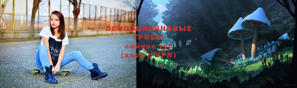 стафф Абаза
