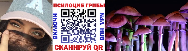 Галлюциногенные грибы Psilocybe  mega ссылка  Алатырь 