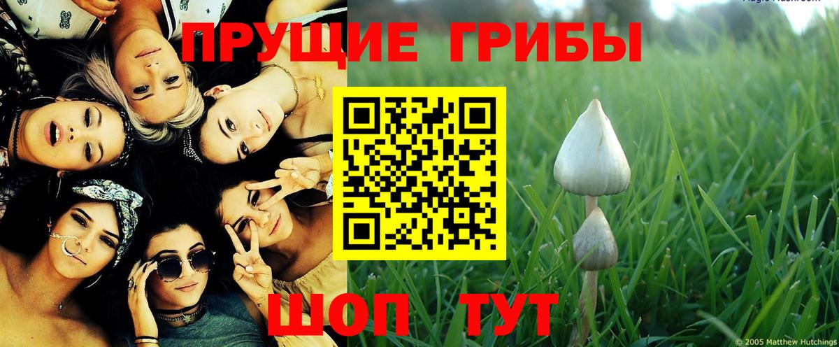 Галлюциногенные грибы MAGIC MUSHROOMS Алатырь